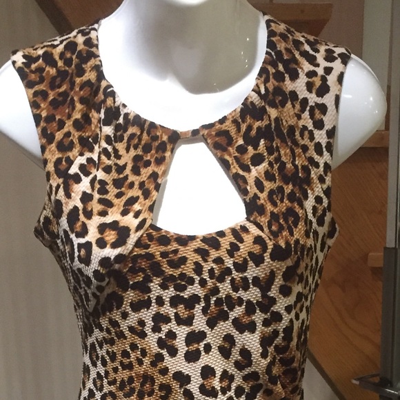 ⬇️Price Drop⬇️💕💕HOST PICK💕💕NWOTSexy animal print dress or swimsuit cover up - Picture 5 of 8